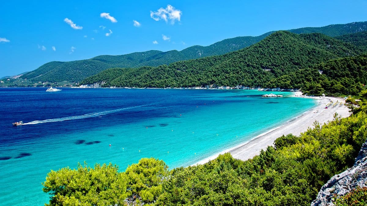 Discover Skopelos Island - Where the pine trees meet the sea
